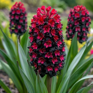 Гиацинт Джем Стоун купить по цене от 2099р. в интернет-магазине «Посадика» с доставкой почтой в в Белореченске и по всей России – [изображение №1].