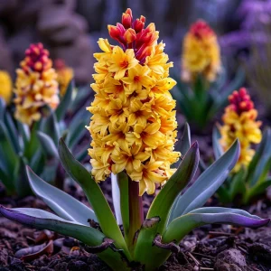 Гиацинт Миднайт Мистери купить по цене от 2099р. в интернет-магазине «Посадика» с доставкой почтой в в Белореченске и по всей России – [изображение №1].