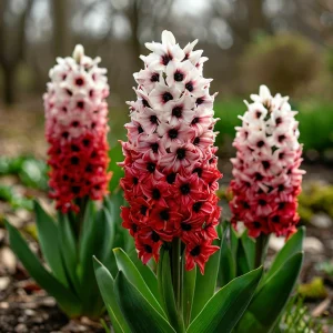 Гиацинт Скай Гарден купить по цене от 2099р. в интернет-магазине «Посадика» с доставкой почтой в в Белореченске и по всей России – [изображение №1].